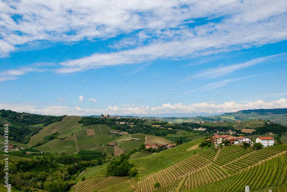 Colline delle Langhe Colline delle Langhe