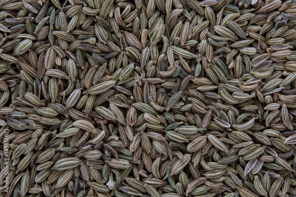Whole Fennel Seeds