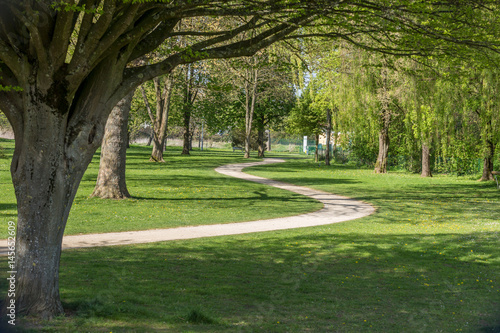 Sinuous path on an idyllic spring european park with green lawn and beautiful old trees