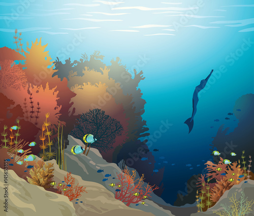 Underwater vector - coral reef and free diver.