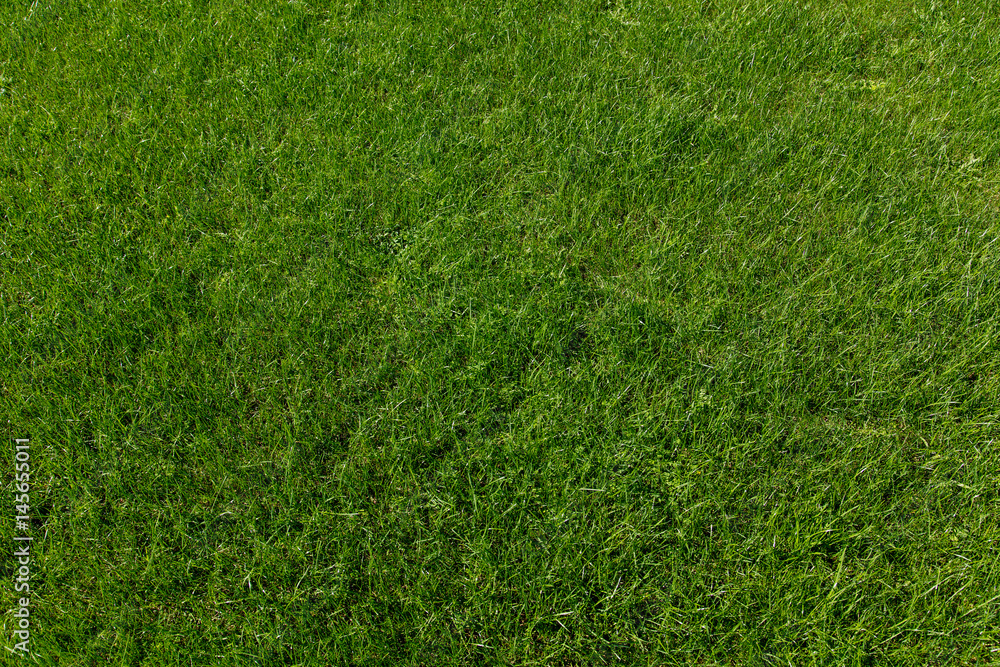 Green grass Green grass