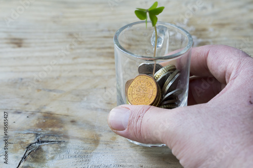 Plant Growing In Savings Coins photo