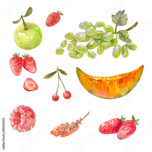 set of different russian fruits drawn with watercolor paint. Illlustrations isolated on white. Sweet healthy food. photo