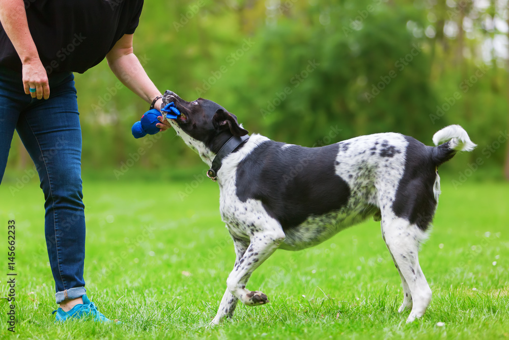 woman plays with her dog outdoors