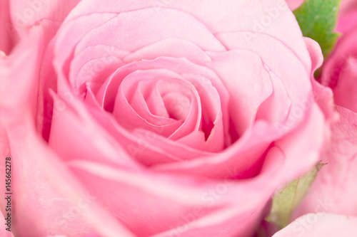 close up the sweet light pink on pink abstract lighting background  for love and romace concept photo