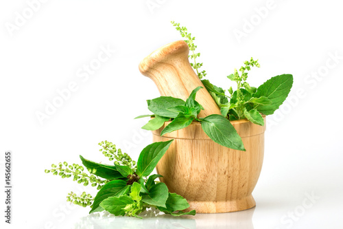the  Holy basil leaves with flower in wooden mortar on white background