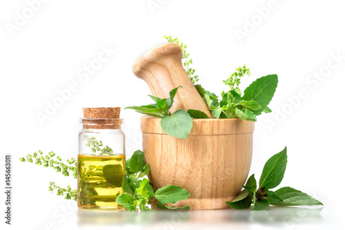 Sweet basil and hot basil in wooden mortar with essential oil , alternative herbal medicine and aromatherapy concept