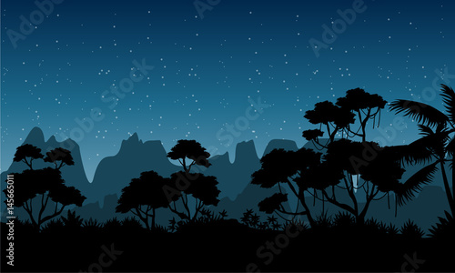 Silhouette of rain forest at the night scenery