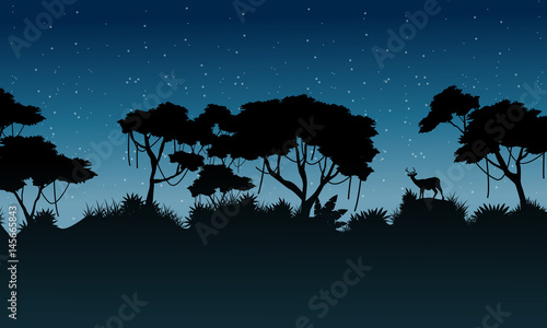 Silhouette tree on the forest scenery