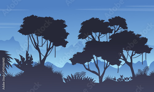 Collection of tree on the forst landscape