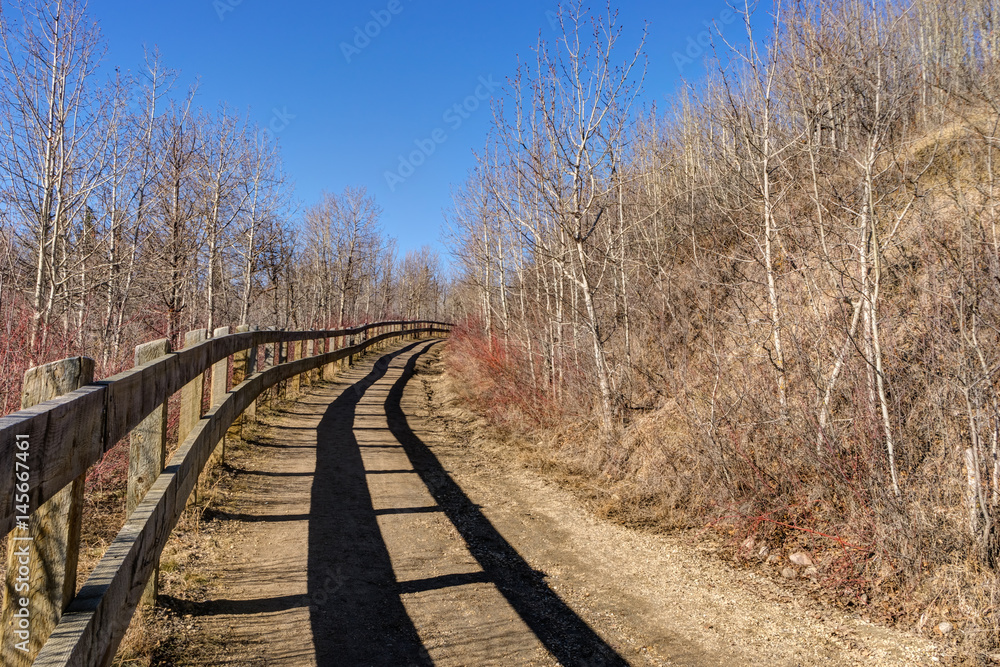 Shadow leading lines