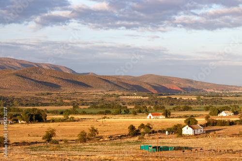 Canvas Print The ostrich farms by the mountains