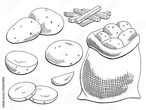 Potatoes vegetable graphic black white isolated sketch illustration vector