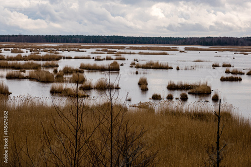 swamp view with lakes