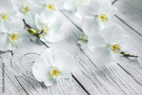 Fototapeta Naklejka Na Ścianę i Meble -  White Orchid on wooden background