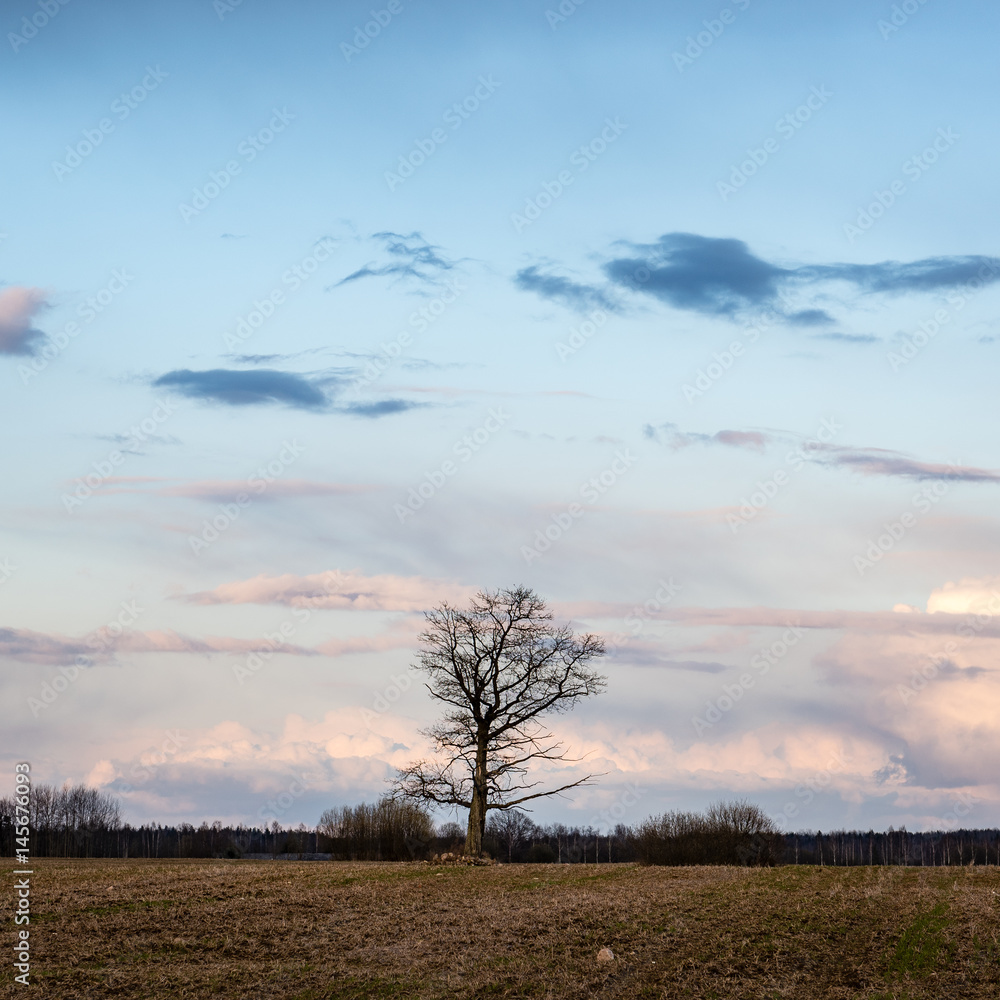 fields in country under blue sky with white clouds fields in country under blue sky with white clouds