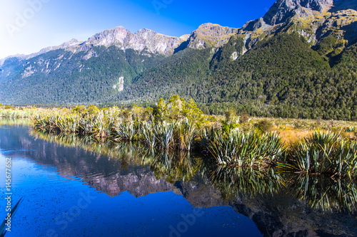 Mirror Lake, Fiordland National Park, Milford Sound