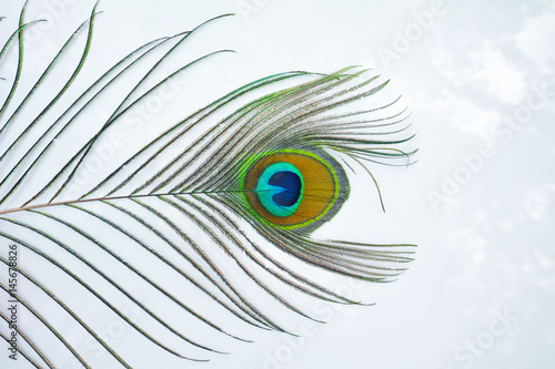 peacock feather on white background. isolate peacock feather.