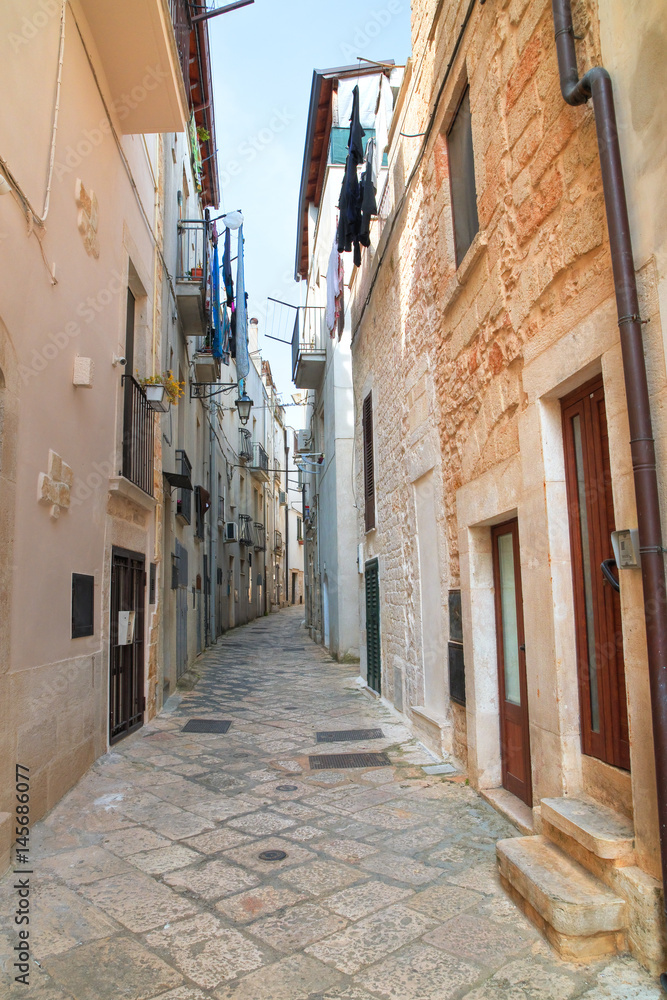 Obraz premium Alleyway. Conversano. Puglia. Italy.