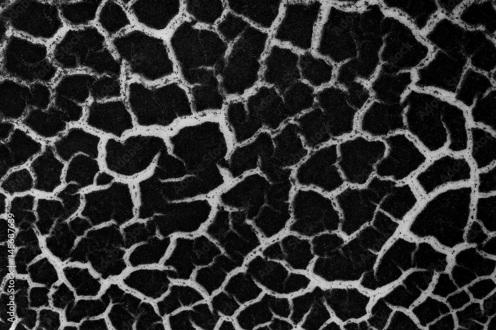 texture cracks a monochrome image