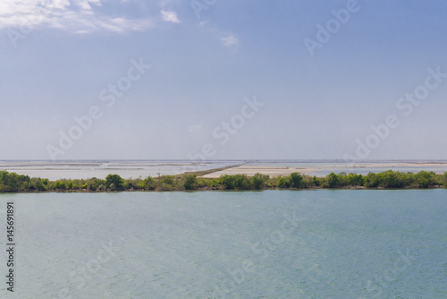 Panoramic view of the Camargue, from the Saint-Louis tower in Port-Saint-Louis © Pascale Gueret