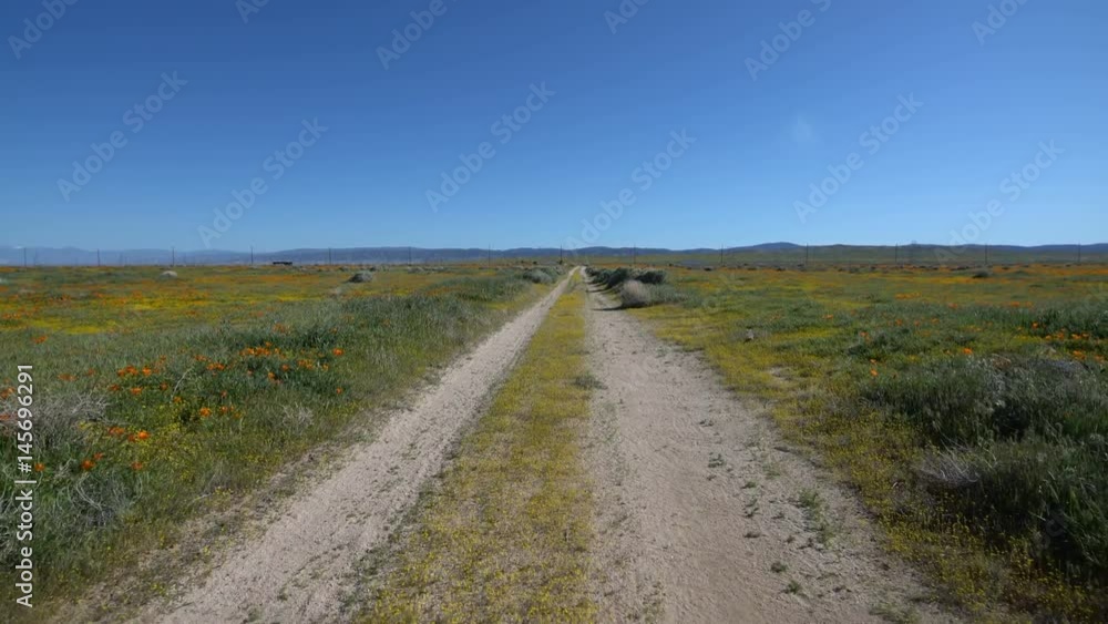 Driving Plates Poppy Flowers Dirt Road 03 Outdoor California Driving Plates Poppy Flowers Dirt Road 03 Outdoor California