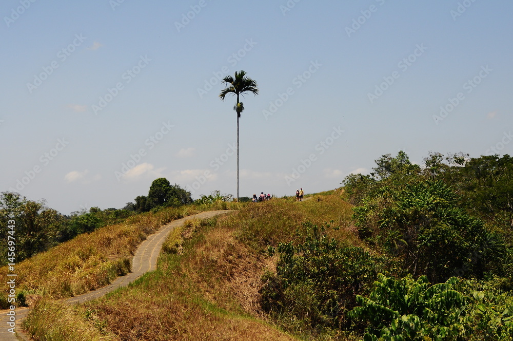 Tjampuhan's Sacred Hills Tjampuhan's Sacred Hills