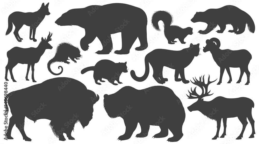 Set of silhouettes animals of North America.