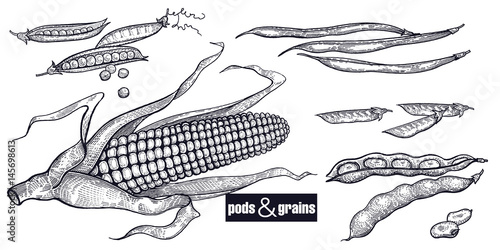 Beans and grain set.