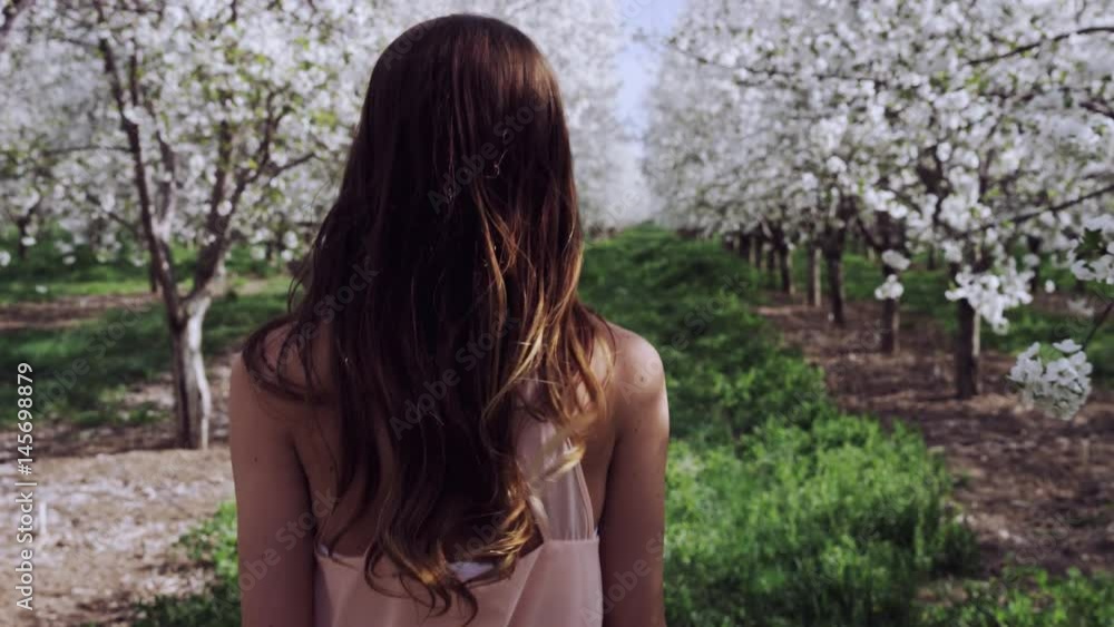 girl walking through orchard covered in white blossoms girl walking through orchard covered in white blossoms
