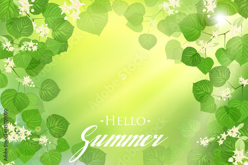 Forest fresh green leaves with sun rays. Spring and Summer Background