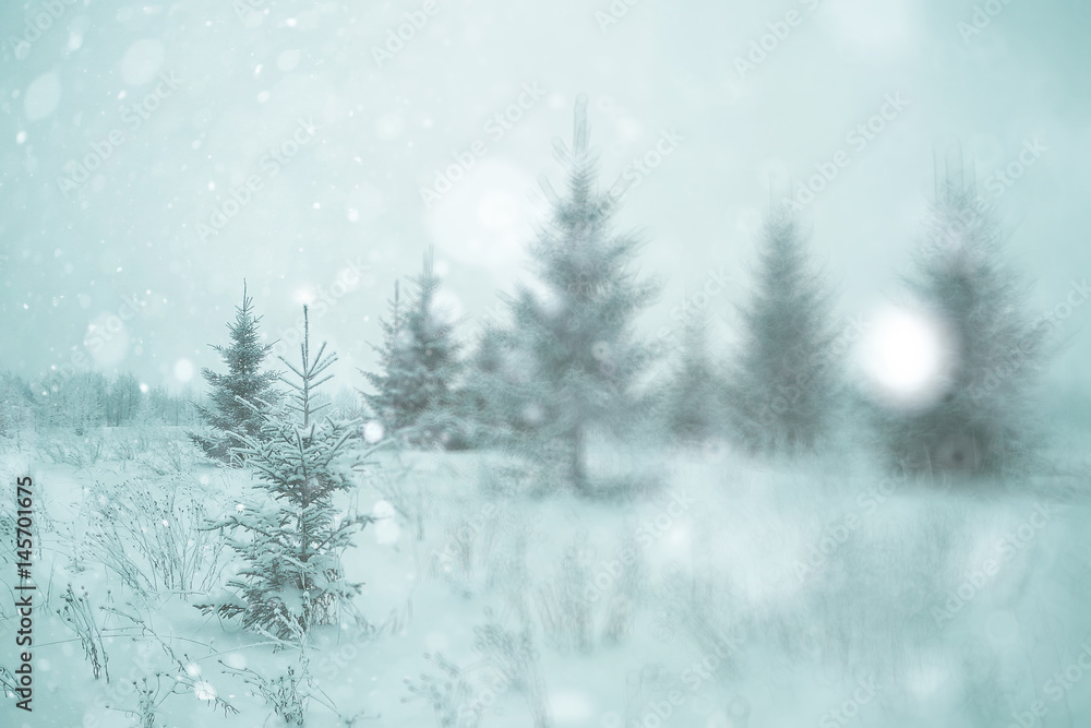 Winter forest blurred background snow landscape Winter forest blurred background snow landscape