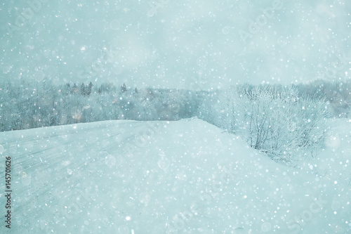 snowy winter landscape in the Christmas forest © kichigin19