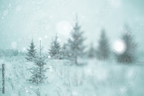 Wallpaper Mural Winter forest blurred background snow landscape Torontodigital.ca