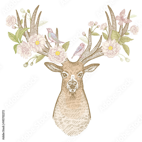 Deer head with antlers vintage illustration of blooming.