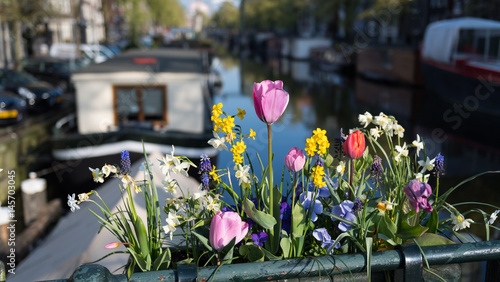 Spring flowers in the sunshine on the Brouwersgracht canal, Amsterdam © timsimages.uk