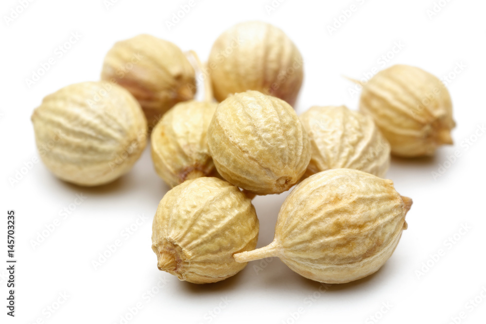 Coriander seeds Coriander seeds