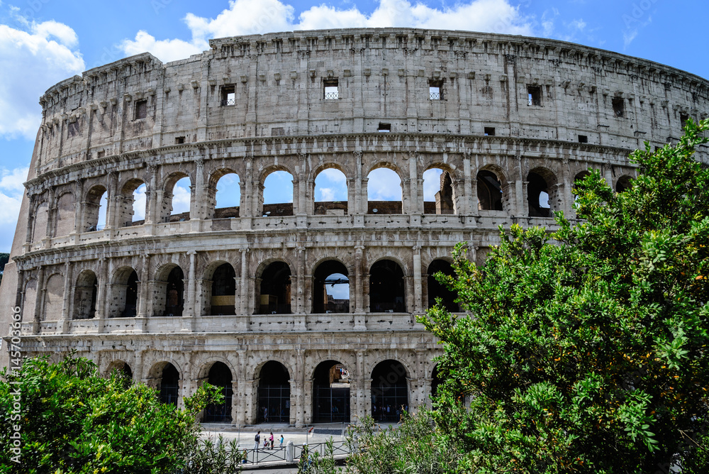 Fototapeta premium Colosseum in Rome, Italy