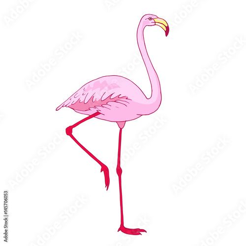 Vector pink flamingo bird illustration. Hand drawn sketch with the wild animal
