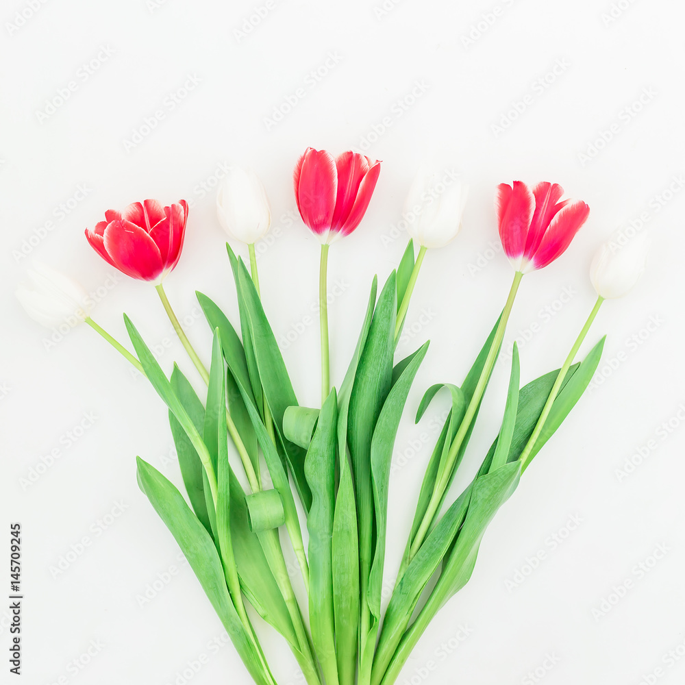 Fototapeta premium Red and white tulip flowers on white background. Flat lay, Top view.