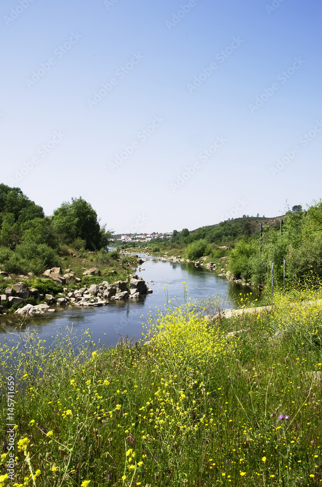 Tejo river near  almourol castle