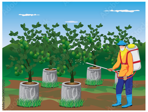 agriculturist sprays lemon plant vector design