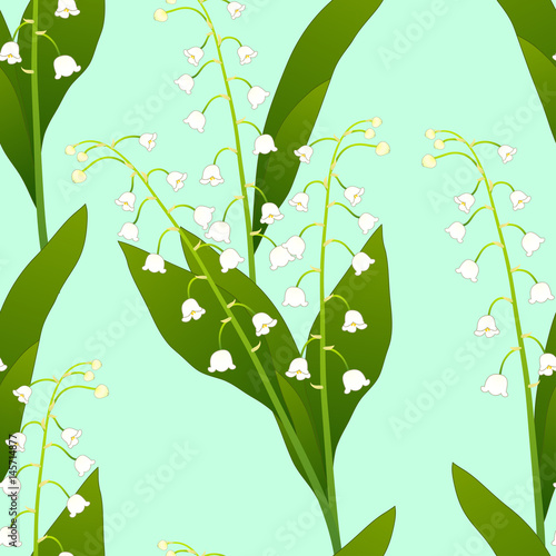 Fototapeta Naklejka Na Ścianę i Meble -  White Lily of the Valley on Green Mint Background. Vector Illustration
