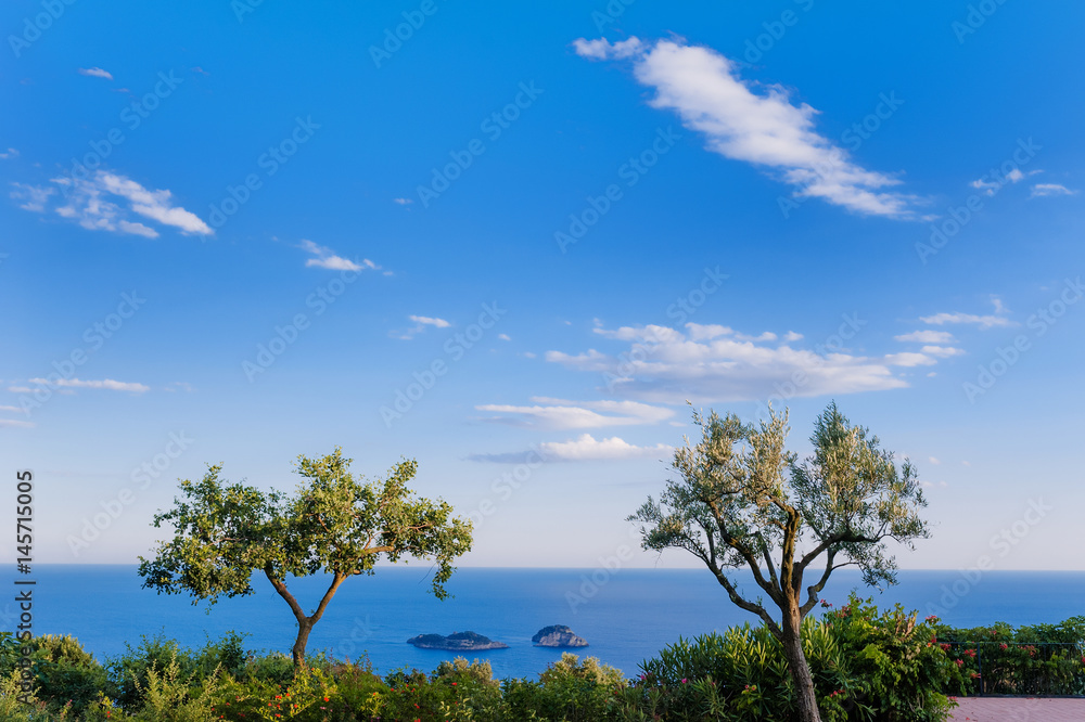 Scenic view of two trees, sky, sea and Li Galli islands on Amalfi Coast, Italy Scenic view of two trees, sky, sea and Li Galli islands on Amalfi Coast, Italy