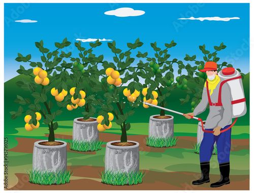 agriculturist sprays orange plant vector design