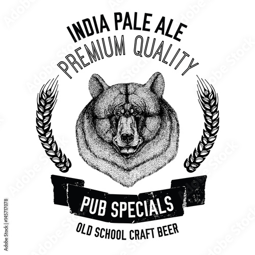 Hand drawn beer emblem with american black bear Template for badge, logo, menu cover, patch