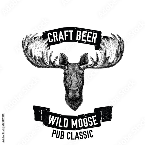 Hand drawn beer emblem with wild moose