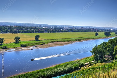 Wallpaper Mural Blick auf Dresden und die Elbe  Torontodigital.ca