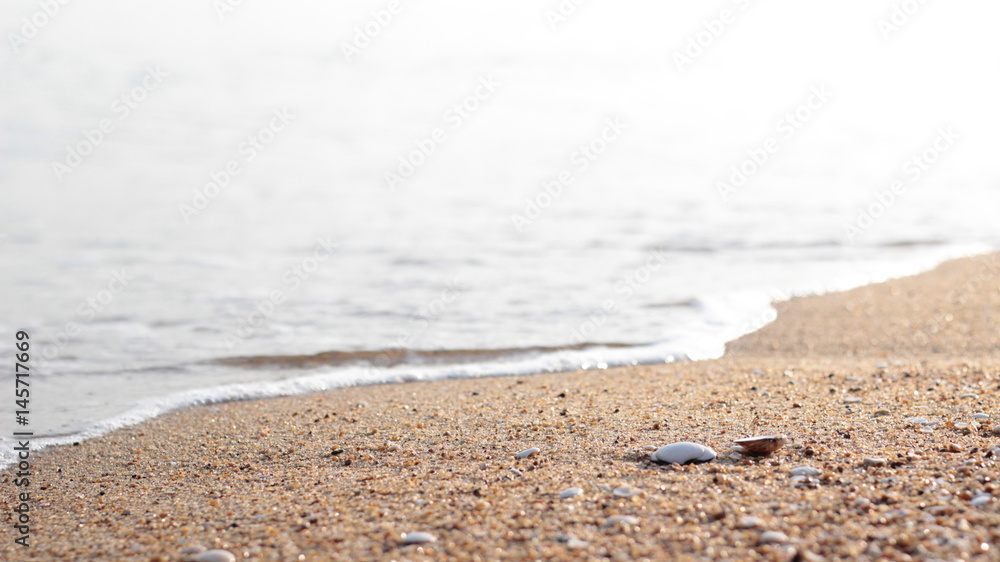 浜辺 浜辺