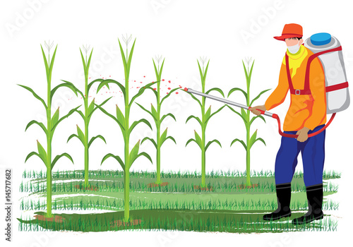 agriculturist sprays corn plant vector design